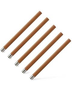 These are the Graf von Faber-Castell Spare Perfect Pencil Set of 5 Refills.